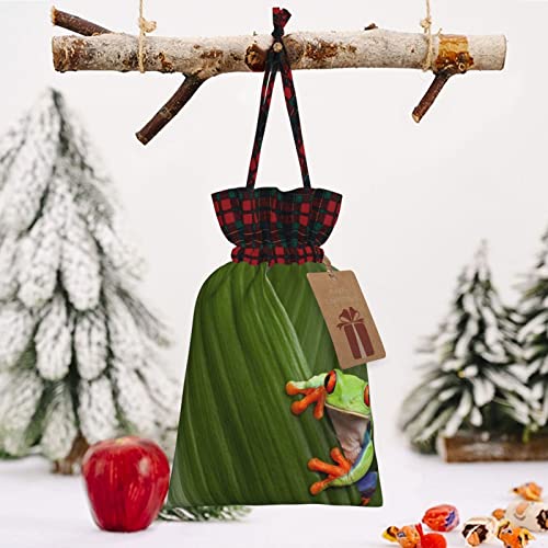 Allgobee Christmas Drawstring Gift Bags Tropical-Funny-Tree-Frog Buffalo Plaid Drawstring Bag Party Favors Bags