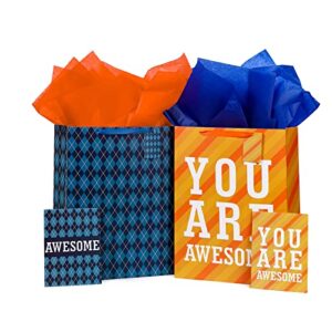 16.5″ gift bags for men, boys, father’s day – extra large gift bags with greeting card, tag, tissue paper – 2 pack