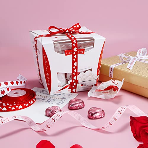 VATIN Valentine's Day Ribbons 3/8 Inch x 240Fts(16 Rolls x 15Ft) Valentine's Day Trims Grosgrain Ribbons Hearts Printed Ribbon for Valentine's Day Wedding Gift Wrapping DIY Crafts