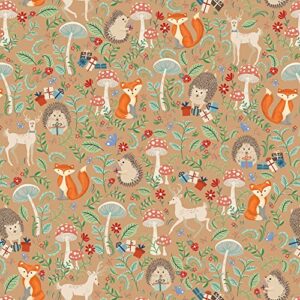 jillson roberts 6-roll count baby gift wrap available in 5 different designs, krafty fox