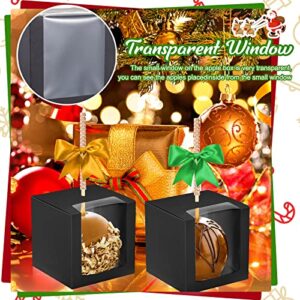 100Pcs Candy Apple Boxes with Hole Caramel Apple Boxes 4x4x4 Inch Christmas Apple Gift Box Cookies Chocolate Apple Container with Clear Window Baking Wrapping Packaging for Wedding Baby Shower (Black)