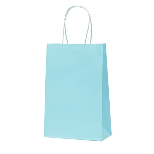 Nexmint Light Blue Gift Bags: 24 Bulk Pack Small Gift Bags with Handle. Great for Gifts, Wedding, Birthday, Shower, Holiday, Party Favor, Treat, Goodie & Special Occasions