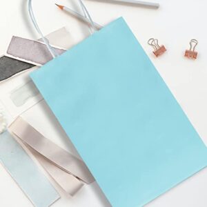 Nexmint Light Blue Gift Bags: 24 Bulk Pack Small Gift Bags with Handle. Great for Gifts, Wedding, Birthday, Shower, Holiday, Party Favor, Treat, Goodie & Special Occasions