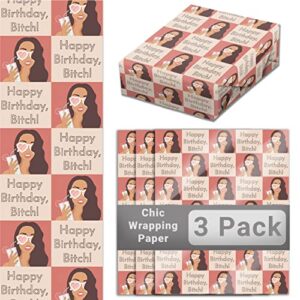 Super Cute, Funny Happy Birthday Girl 20x30 Inch Wrapping Paper Sheets 3 Pack. Recyclable, Novelty Design Squares Great for Friends. Unique, Folded Heavy Duty Gift-Wrap Papers for Women’s Bday Gifts.