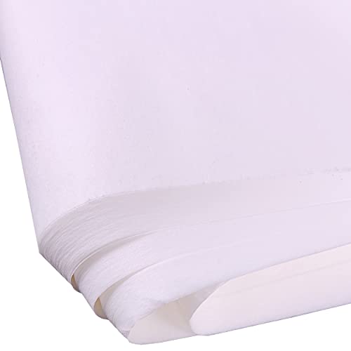 Carnival Papers Wet Strength White Tissue Paper 60 Sheets Alternative to Deli Paper for Model Making, Geli Printing, Mixed Media Crafts etc Resistant to Tearing When Wet