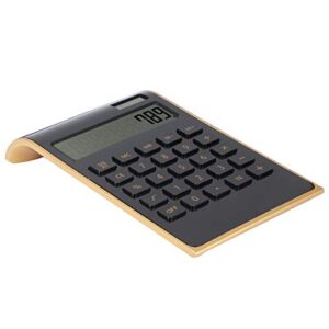 Tgoon Financial Calculator, Two Ways to Supply Power 10 Digits Calculator Business Calculator Desk Financial Office calculations Various Financial(Black)