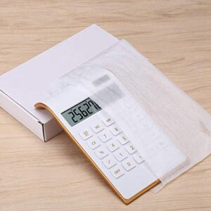 Plastic Financial Calculator Solar Calculator 10 Digits for Office Home(Black)