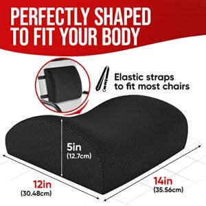 FORTEM Chair Cushion, Seat Cushion for Office Chair, Lumbar Support Pillow for Chair, Car Seat Cushion, Back Support Memory Foam Pillow Washable Cover (Black, Mesh)