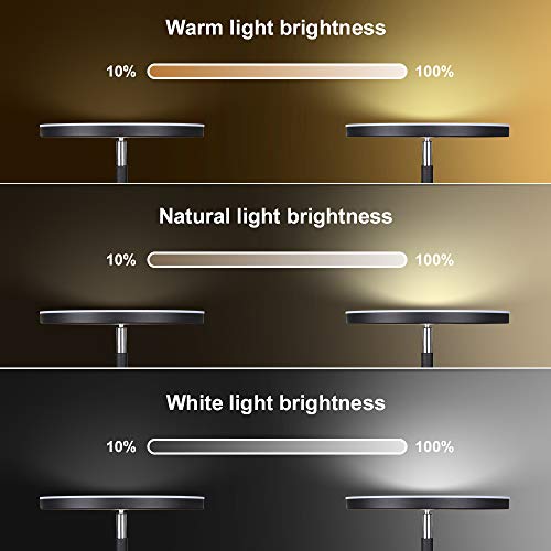 Dimunt Floor Lamp LED Floor Lamps for Living Room Bright Lighting, 27W/2000LM Main Light and 7W/350LM Side Reading Lamp, Adjustable 3 Colors 3000K/4500K/6000K Tall Lamp with Remote & Touch Control