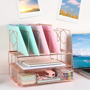 gianotter Desk Organizers and Accessories, Office Supplies Desk Organizer with Sliding Drawer, Double Tray and 5 Upright Section ​File Sorter Organizer (Rose Gold)