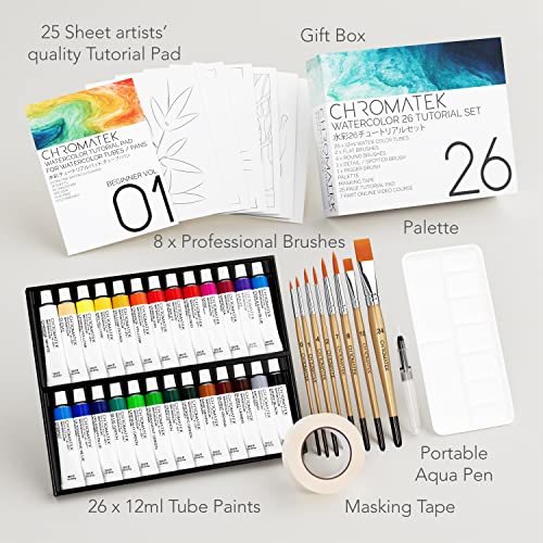 Watercolor Paint Set for Adults, Kids, Beginner & Professional Artists. With Paper, 9 Brushes, Palette, Aqua-pen, Tape, Video Tutorial Series. Watercolor Tubes. Art Supplies - 62 Piece Set