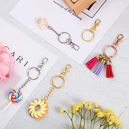 100 Pieces Swivel Clasps Set 50 Piece Lanyard Snap Hooks with 50 Piece Key Chain Rings, Lobster Clasp Keychain Hooks Key Chain Clip Hooks Lobster Claw Clasps for Keychain Jewelry DIY (Multicolored)