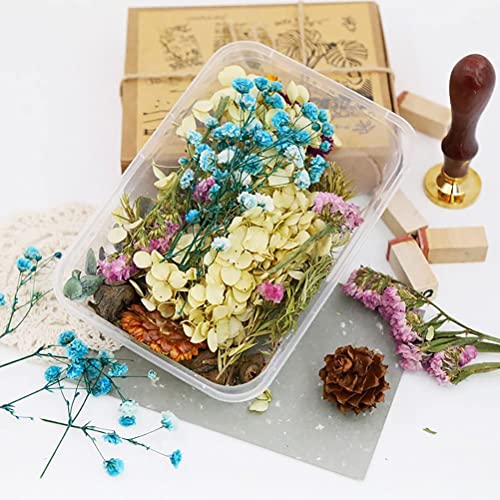 Dried Flowers for Resin Jewelry molds with Tweezers, Real Pressed Dry Flower Leaves Mixed Multiple Colorful, for DIY Crafts Nail Art Candle Soap Making Phone Case Jewelry Pendant Floral Decors