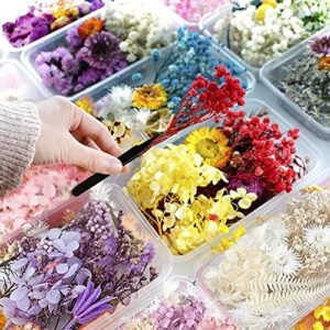 Dried Flowers for Resin Jewelry molds with Tweezers, Real Pressed Dry Flower Leaves Mixed Multiple Colorful, for DIY Crafts Nail Art Candle Soap Making Phone Case Jewelry Pendant Floral Decors