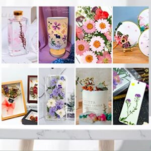 Dried Flowers for Resin Jewelry molds with Tweezers, Real Pressed Dry Flower Leaves Mixed Multiple Colorful, for DIY Crafts Nail Art Candle Soap Making Phone Case Jewelry Pendant Floral Decors