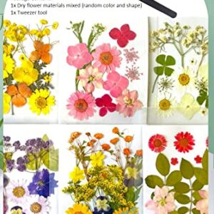 Dried Flowers for Resin Jewelry molds with Tweezers, Real Pressed Dry Flower Leaves Mixed Multiple Colorful, for DIY Crafts Nail Art Candle Soap Making Phone Case Jewelry Pendant Floral Decors