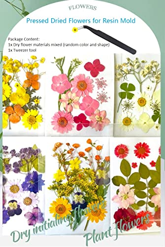 Dried Flowers for Resin Jewelry molds with Tweezers, Real Pressed Dry Flower Leaves Mixed Multiple Colorful, for DIY Crafts Nail Art Candle Soap Making Phone Case Jewelry Pendant Floral Decors