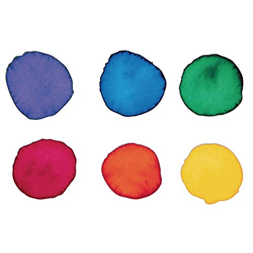 S&S Worldwide Color Splash! Liquid Watercolor Paint, 6 Vivid Colors, 1-oz Drip-Dispense Bottles, For All Watercolor Painting, Use to Tint Slime, Clay, Glue, Shaving Cream, Non-Toxic. Pack of 6.