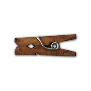 lwr crafts wooden mini clothespins 100 per pack 1″ 2.5cm (jacobean)