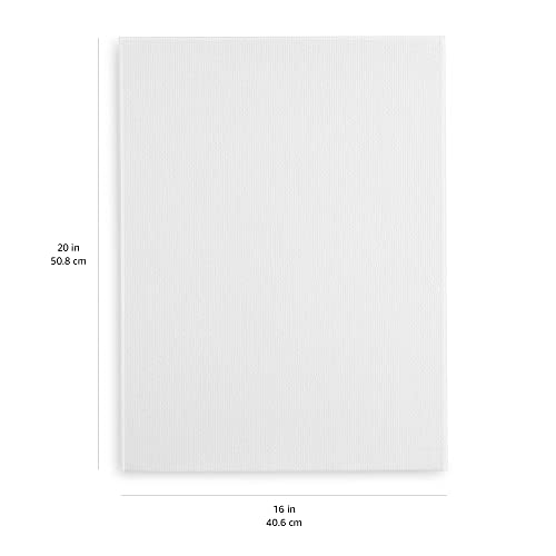 Amazon Basics Stretched Canvas for Painting, 5 Pack, 16"x20"