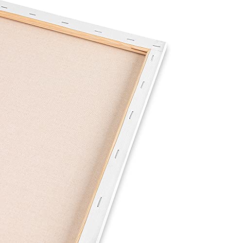 Amazon Basics Stretched Canvas for Painting, 5 Pack, 16"x20"