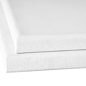 Amazon Basics Stretched Canvas for Painting, 5 Pack, 16"x20"