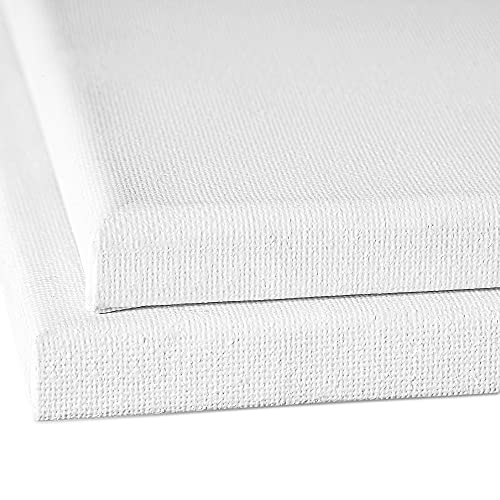 Amazon Basics Stretched Canvas for Painting, 5 Pack, 16"x20"