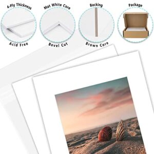 Golden State Art, Acid Free, Pack of 25, 11x14 White Picture Mats Mattes with White Core Bevel Cut for 8x10 Photo + Backing + Bags