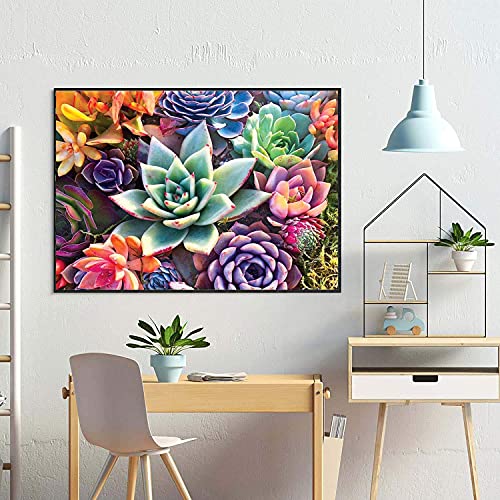 eniref 5D Diamond Painting Kits for Adults - Paint with Diamonds Full Round Drill 5D Diamond Dots Craft Diamond Art Kits - Home Wall Decor and Adults Kids DIY Gift(Succulents 12 X 16 inch)