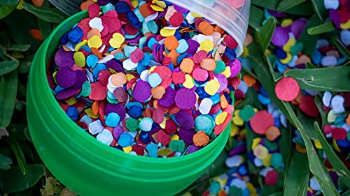 Fiesta Confetti.Value Mexican Colorful Paper Confetti. Jumbo Bag .95lb/425gr.