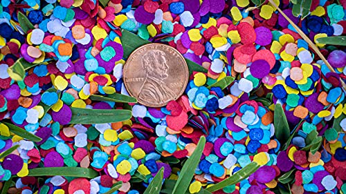 Fiesta Confetti.Value Mexican Colorful Paper Confetti. Jumbo Bag .95lb/425gr.