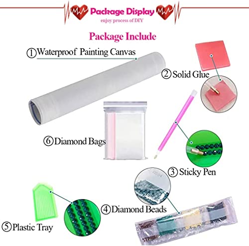Eiazuiks Diamond Painting Kits for Adults, Flowers Girl 5D DIY Diamond Art Kits Full Drill Diamond Dots for Gift Wall Decor Gem Arts 12x16 inch