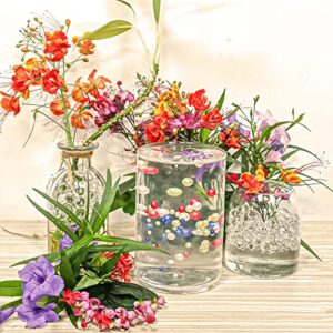 NIKOEO Clear Water Beads, 10000 Pcs Clear Water Gel Jelly Beads Vase Filler for Floating Candle Making, Wedding Centerpiece, Festive Floral Decoration Flower Arrangement (Transparent)