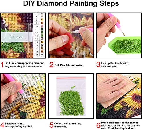 DaiCur Diamond Painting Kits, 9 Pack Gnome Diamond Art Kits for Adults, DIY 5D Round Full Drill Crafts Diamond dotz Home Wall Decor Gifts (12x16inch)