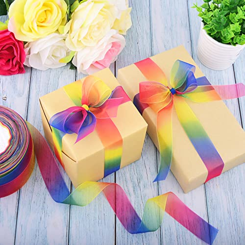Hapeper 2 Rolls 1 Inch Rainbow Organza Ribbon Colorful Sheer Chiffon Ribbons for Gift Wrapping, Crafts, Party Decoration, 100 Yards