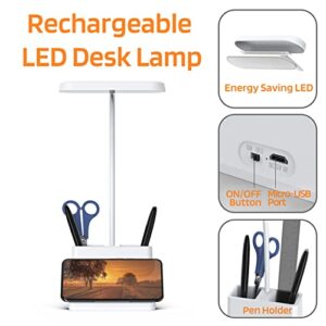 LED Small Desk Lamp, AXX Desk Lamps for Home Office, White Desk Light for Kids, Desktop/Computer Study Lamps for Bedrooms, Rechargeable, Battery Operated, Pen Holder, Adjustable Gooseneck Reading Lamp