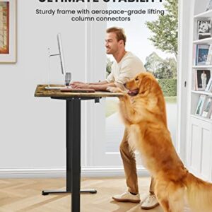 ErGear Height Adjustable Electric Standing Desk, 48 x 24 Inches Sit Stand up Desk, Memory Computer Home Office Desk (Vintage Brown)