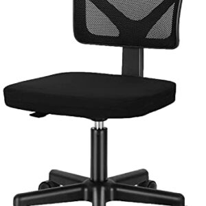 Ergonomic Home Office Desk Chair, Adjustable Armless Computer Chair with Lumbar Support, Small Mesh Task Chair with Backrest Swivel Rolling for Study, Office, Conference Room