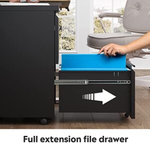 DEVAISE 2-Drawer Mobile File Cabinet with Lock, Vertical Filing Cabinet, Black