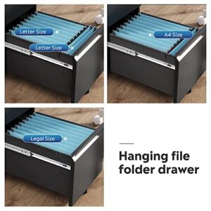 DEVAISE 2-Drawer Mobile File Cabinet with Lock, Vertical Filing Cabinet, Black