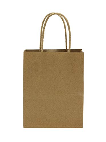 Creative Hobbies® Small Kraft Paper Gift Handle Bags - Weddings, Favors, Goody Bags - Wholesale Pack of 13 Bags
