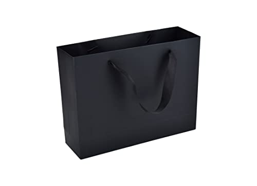 HUAPRINT Black Paper Bags,Shopping bags with Ribbon Handles,20Pcs,10.6x8.3x3.1,Craft Gift Bags for Clothes,Bulk Lunch Bags,Retail Bags,Party Favor Bags,Merchandise Business Bags,Wedding Bags