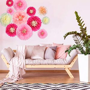 Gejoy 20 Pieces Paper Flower Tissue Paper Chrysanth Flowers DIY Crafting for Wedding Backdrop Nursery Wall Decoration (Color Set 1)