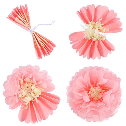 Gejoy 20 Pieces Paper Flower Tissue Paper Chrysanth Flowers DIY Crafting for Wedding Backdrop Nursery Wall Decoration (Color Set 1)