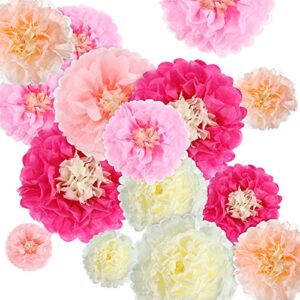 Gejoy 20 Pieces Paper Flower Tissue Paper Chrysanth Flowers DIY Crafting for Wedding Backdrop Nursery Wall Decoration (Color Set 1)