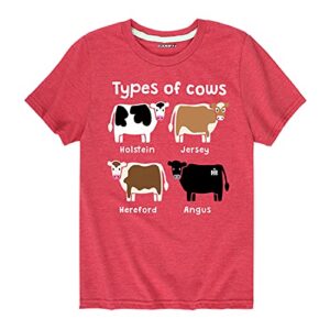 case ih types of cows – toddler short sleeve graphic t-shirt – size 3t heather red