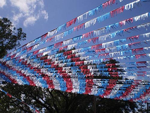 Generic 60 Ft.Metallic Fringe Pennant Red,Blue,Silver Auto Dealer Supplies Car Lot Dealership Patriotic