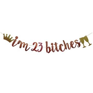 i’m 23 bitches banner rose gold glitter paper funny party decorations for 23rd birthday party supplies happy 23rd birthday cheers to 23 years old letters rose gold betteryanzi
