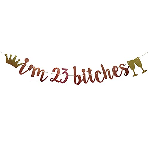 I'm 23 Bitches Banner Rose Gold Glitter Paper Funny Party Decorations for 23RD Birthday Party Supplies Happy 23RD Birthday Cheers to 23 Years Old Letters Rose Gold Betteryanzi