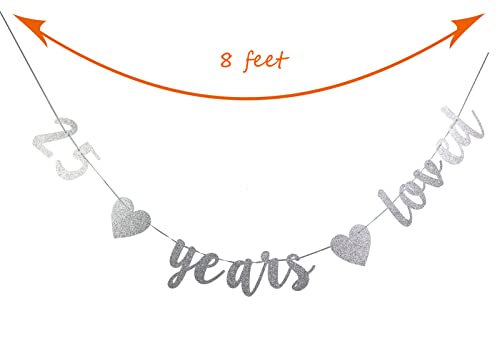 StarsGarden Glitter 25 Years Loved Banner – It's My Fabulous 25th Banner -25th Birthday Banner Decorations - Cheers to 25 Years Milestone Happy Birthday Decorations(Silver 25)